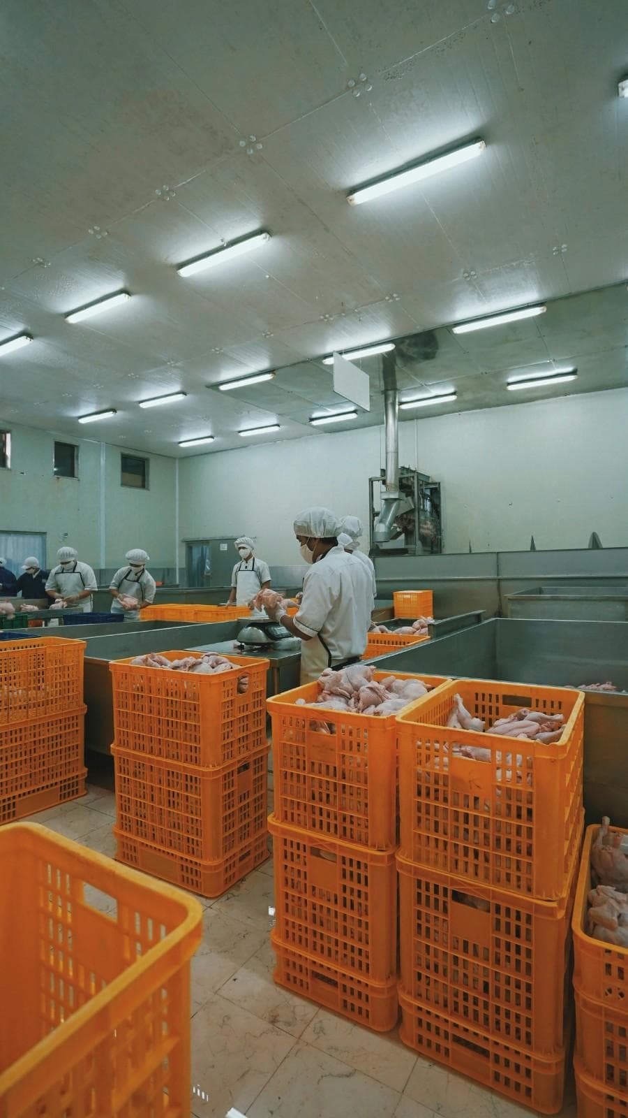 Fish and Meat Processing Facility